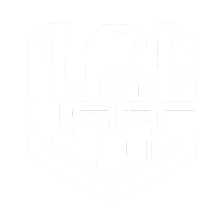 USEC - AI Voice Changer